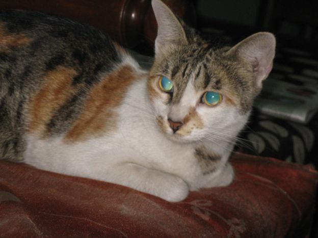 15370124_635033106666631_8562154023619178885_o